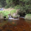 mohelensk raelinit
